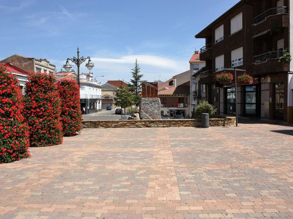 Obras OLY servicios
